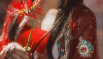 旗袍兔兔写真图册：凛子酱教你如何把可爱和优雅合二为一，真是个天才！